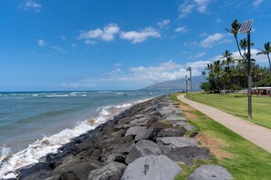 A coastal walkway with a rocky breakwater, a clear sky, and palm trees. - Island Surf Resort, breathtaking ocean view, in the heart of the action (Kihei)