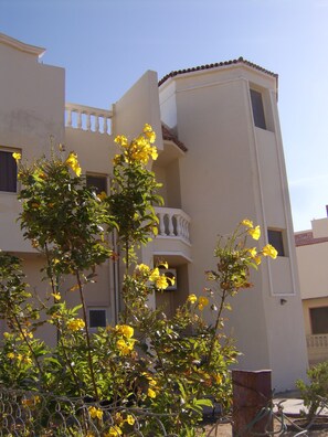 Apartment | Exterior