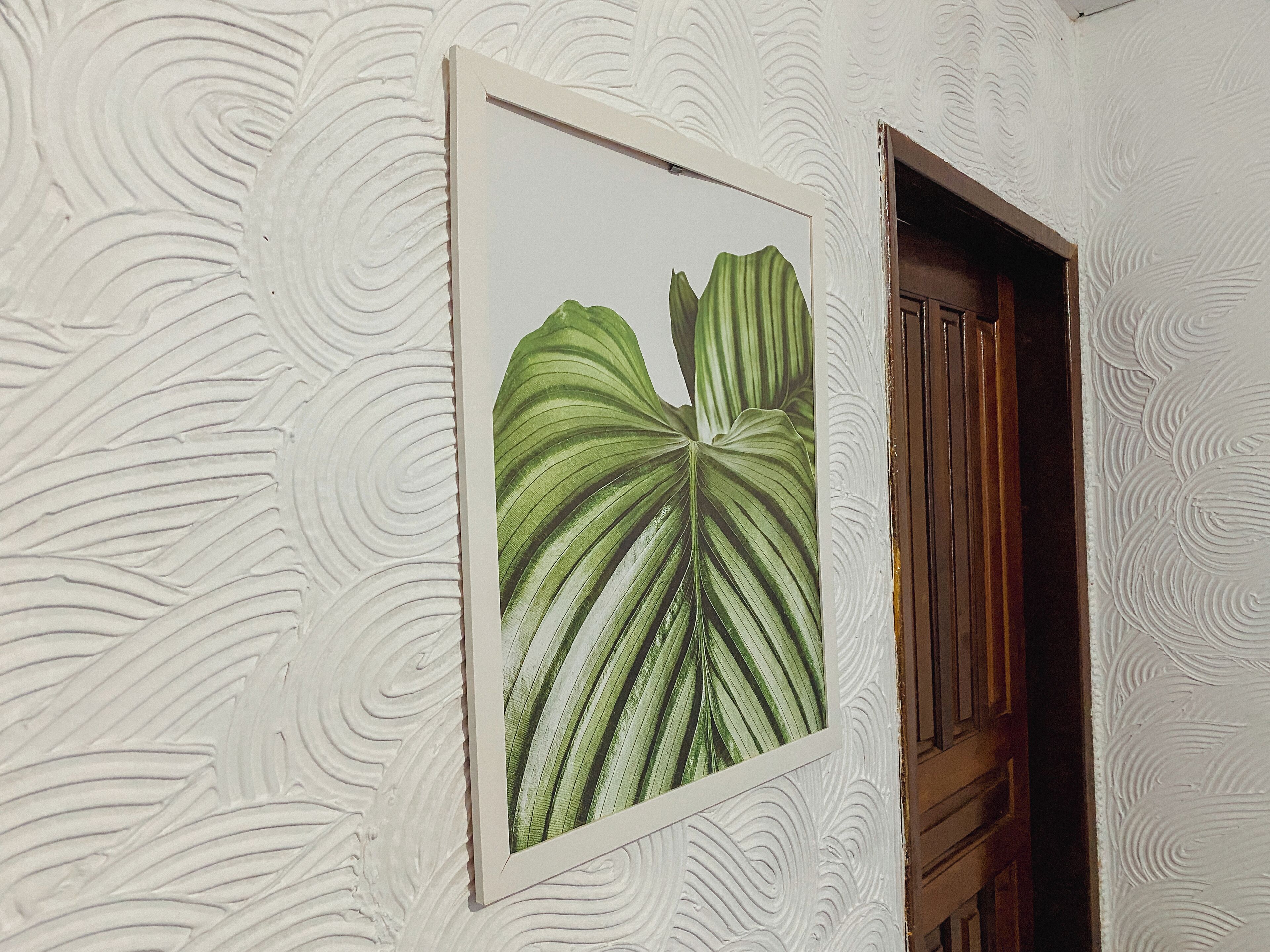 Un grabado botánico en un marco sobre una pared con textura, una puerta de madera y una habitación parcialmente visible.