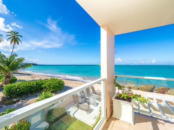 Property grounds - Large Ocean Front Home on Sandy Beach With Pool (Medianía Alta)