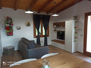 Fernseher, DVD-Player