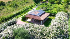 Un pabellón con techo de tejas y paneles solares, rodeado de exuberante vegetación y arbustos florecientes.