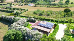 Una casa con techo de paneles solares, rodeada de exuberante vegetación y un jardín bien cuidado.