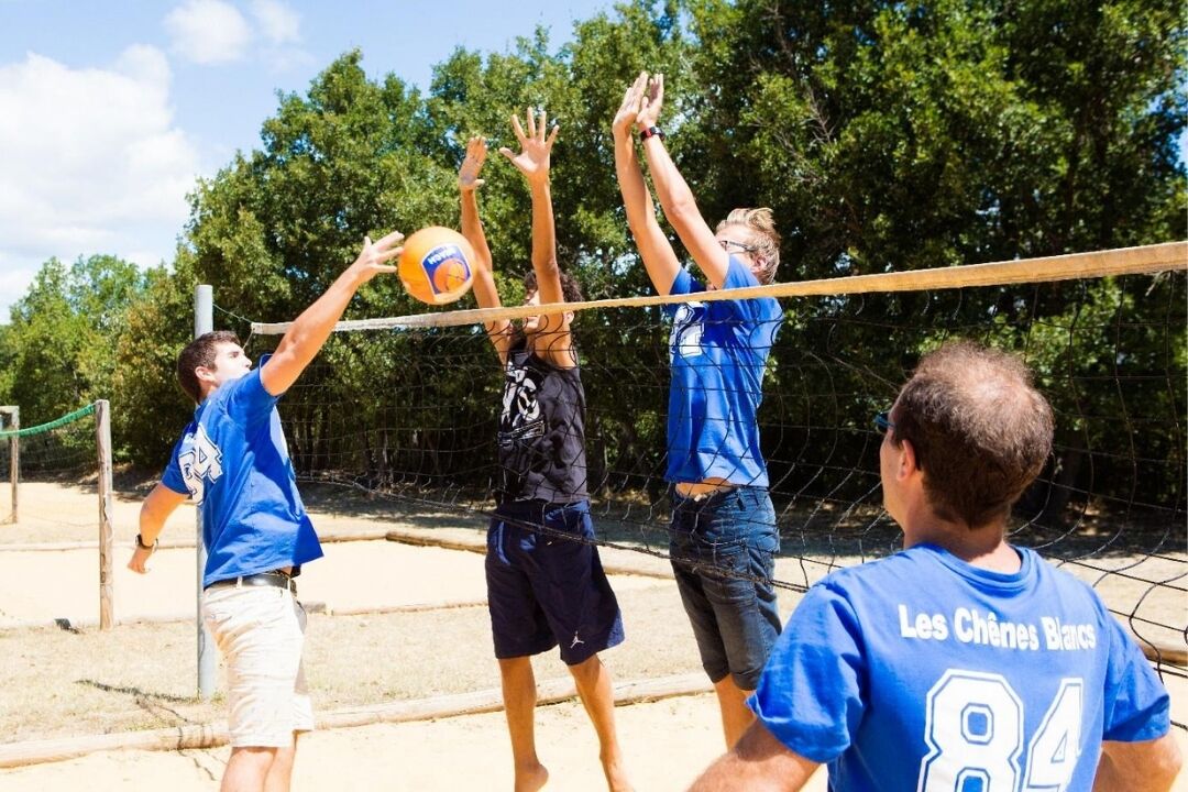 Une partie de volleyball est en cours sur un terrain extérieur, avec une clôture en treillis métallique et des arbres en arrière-plan.