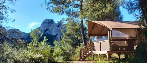 Premium Tent | Terrace/patio