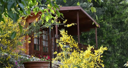 Parco Botanico Fiorlago