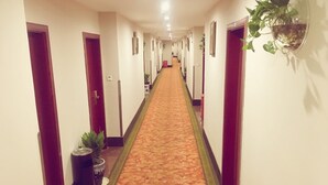 Ein Hotelkorridor mit Teppichboden, Türen auf beiden Seiten und einer Zimmerpflanze links.