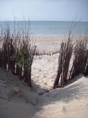 Playa en los alrededores