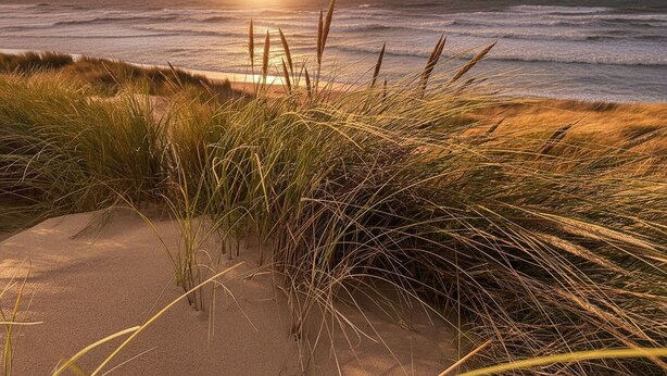 Uma praia com dunas de areia e grama, um pôr do sol sobre o oceano e um céu claro.
