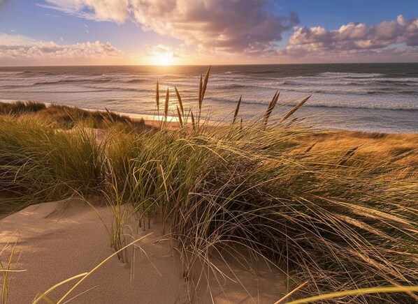 Beach nearby