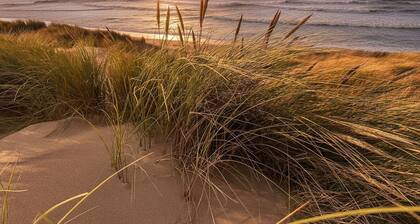 Directement derriĂšre les dunes dans le Fabiola Beach Park