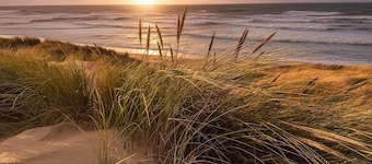 Cozy fisher cottage just behind the dunes