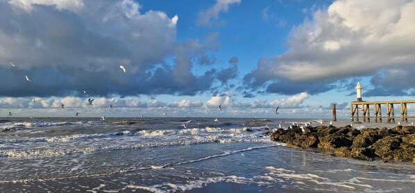 Beach nearby - Cozy fisher cottage just behind the dunes (Wenduine)