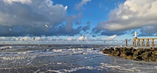 Cozy fisher cottage just behind the dunes