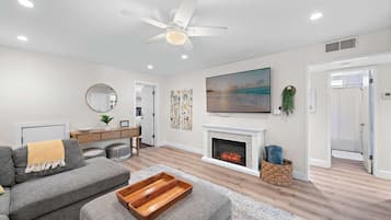 TV, fireplace, video-game console, DVD player