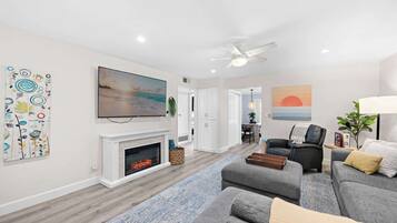 Télévision, cheminée, console de jeux vidéo, lecteur de DVD