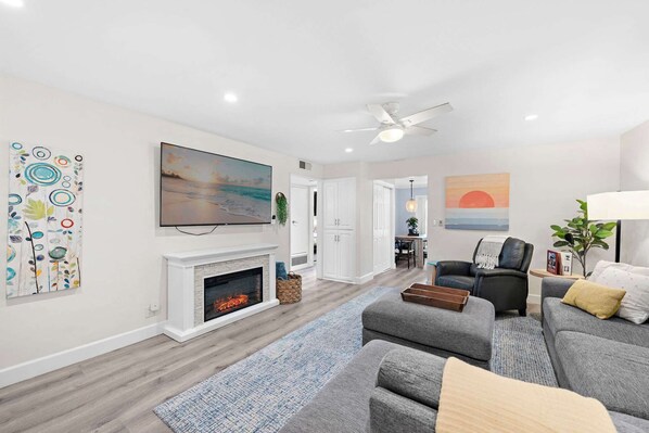 TV, fireplace, video-game console, DVD player