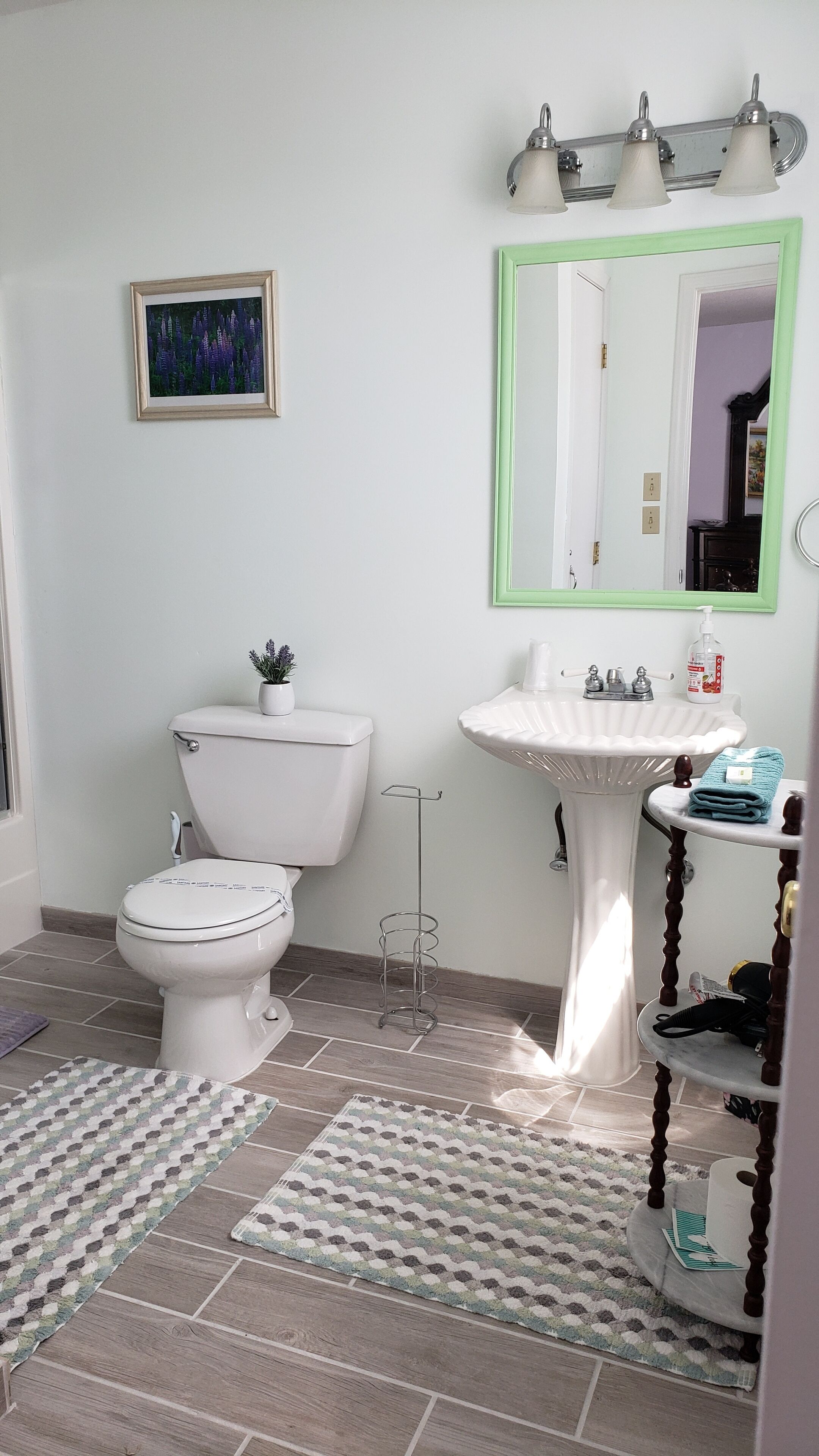 Hair dryer, towels, soap, shampoo