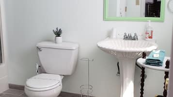 Hair dryer, towels, soap, shampoo