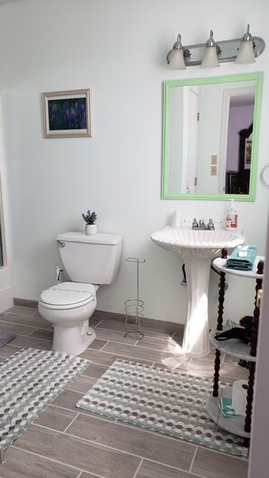 Sèche-cheveux, serviettes fournies, savon, shampoing