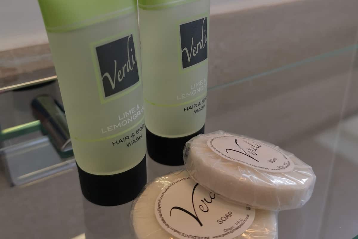 standard double room, accessible, ensuite | bathroom