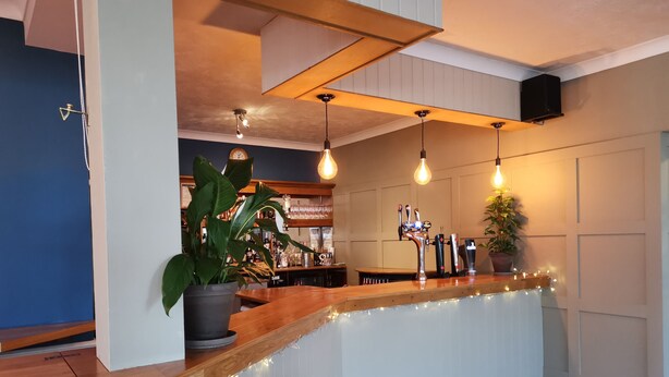 Een bar met een houten toonbank, hangende lampen en een potplant.