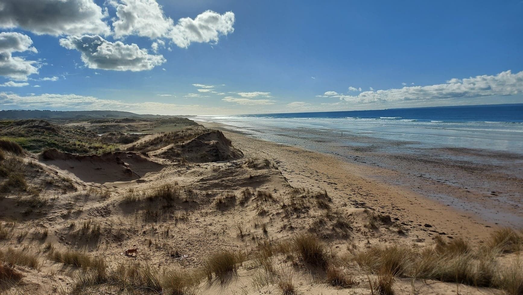 In Strandnähe, Liegestühle