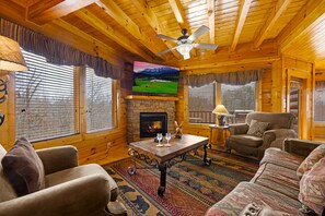 تلفزيون ذكي، مدفأة، ألعاب فيديو، مكتبة فيديو