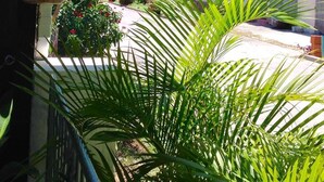 A courtyard with a palm tree, a decorative lantern, and a building in the background. - One minute's walk to Freights Bay (Freights Bay)