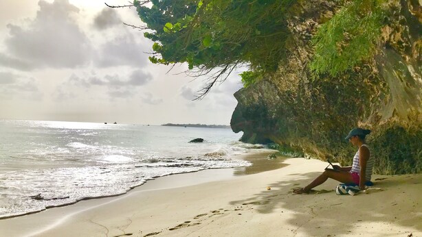 A person sitting on a sandy beach with a cliff and ocean in the background. - One minute's walk to Freights Bay (Freights Bay)