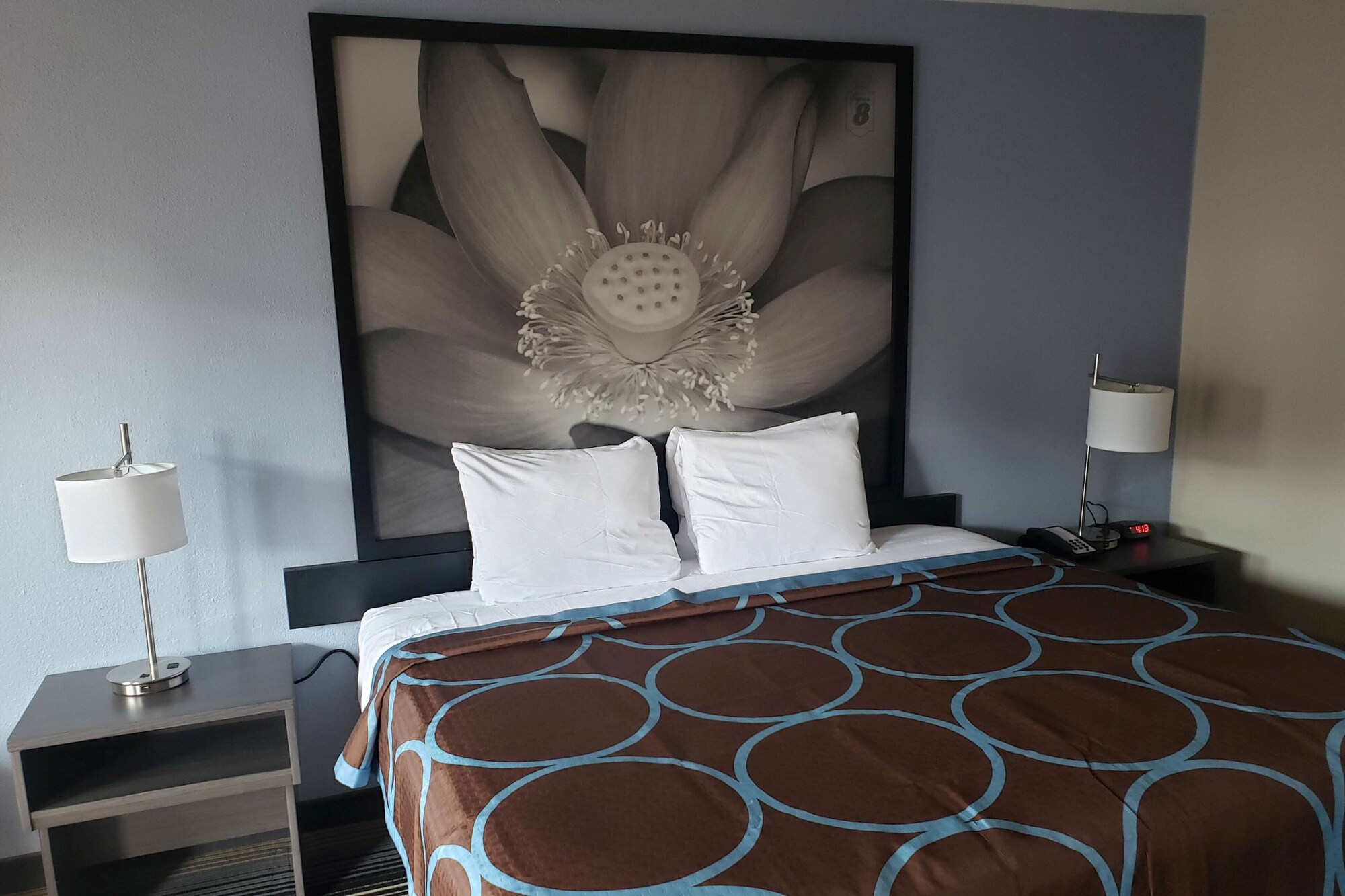 فنادق بتصنيف نجوم (2)