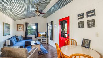 Smart TV, fireplace, DVD player, books
