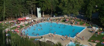 Hyvää joulua luonnon kanssa!