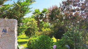 Un jardin agrémenté d’un panneau en pierre, de différentes plantes et d’arbres.