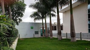 A courtyard with a well-maintained lawn, several palm trees, and a white building with a green sign. - Holiday Inn Express Pune Pimpri (Pune)