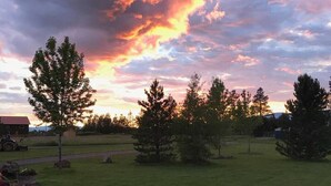 A grassy field with trees and a cloudy sky. - Mountain View Studio Apartment, Close to GNP (Columbia Falls)