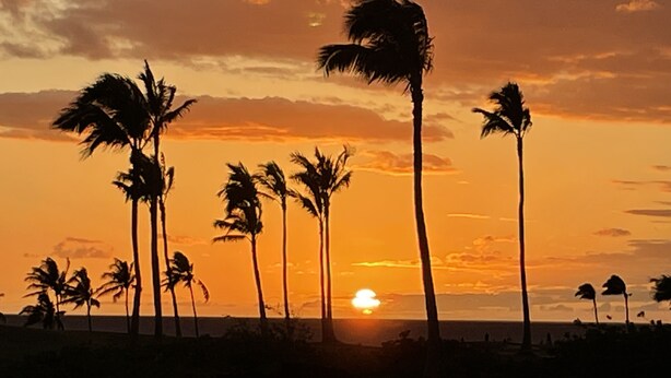 A sunset with palm trees silhouetted against the sky. - Secluded 2-Suite - Stocked Like you're at home. Ocean front pool, private lanai (Waikoloa Village)