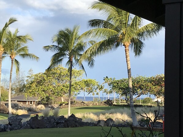 A view of a golf course with palm trees and a body of water in the background. - Secluded 2-Suite - Stocked Like you're at home. Ocean front pool, private lanai (Waikoloa Village)