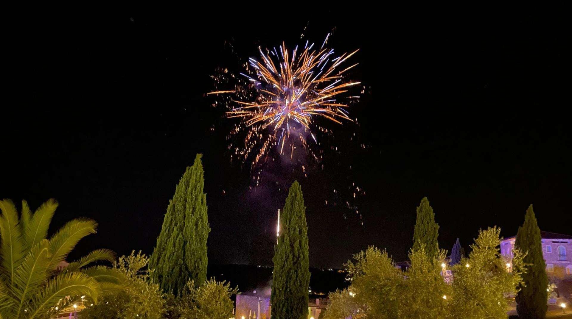 A night scene with a firework display over a landscape with tall cypress trees and a building in the background.