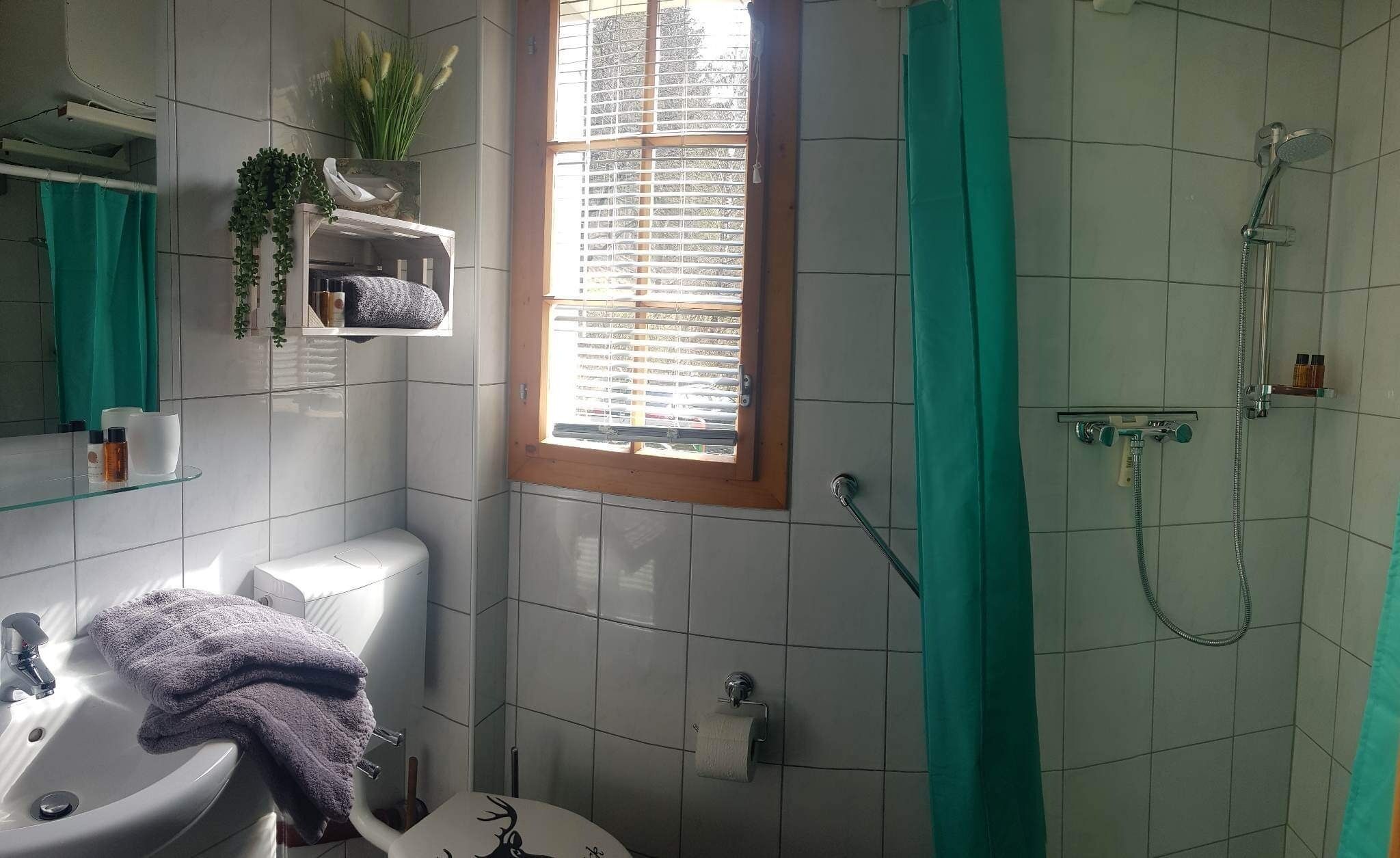 Shower, toilet paper