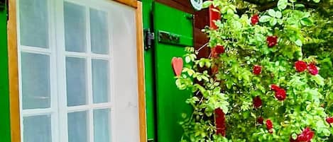Detalle exterior