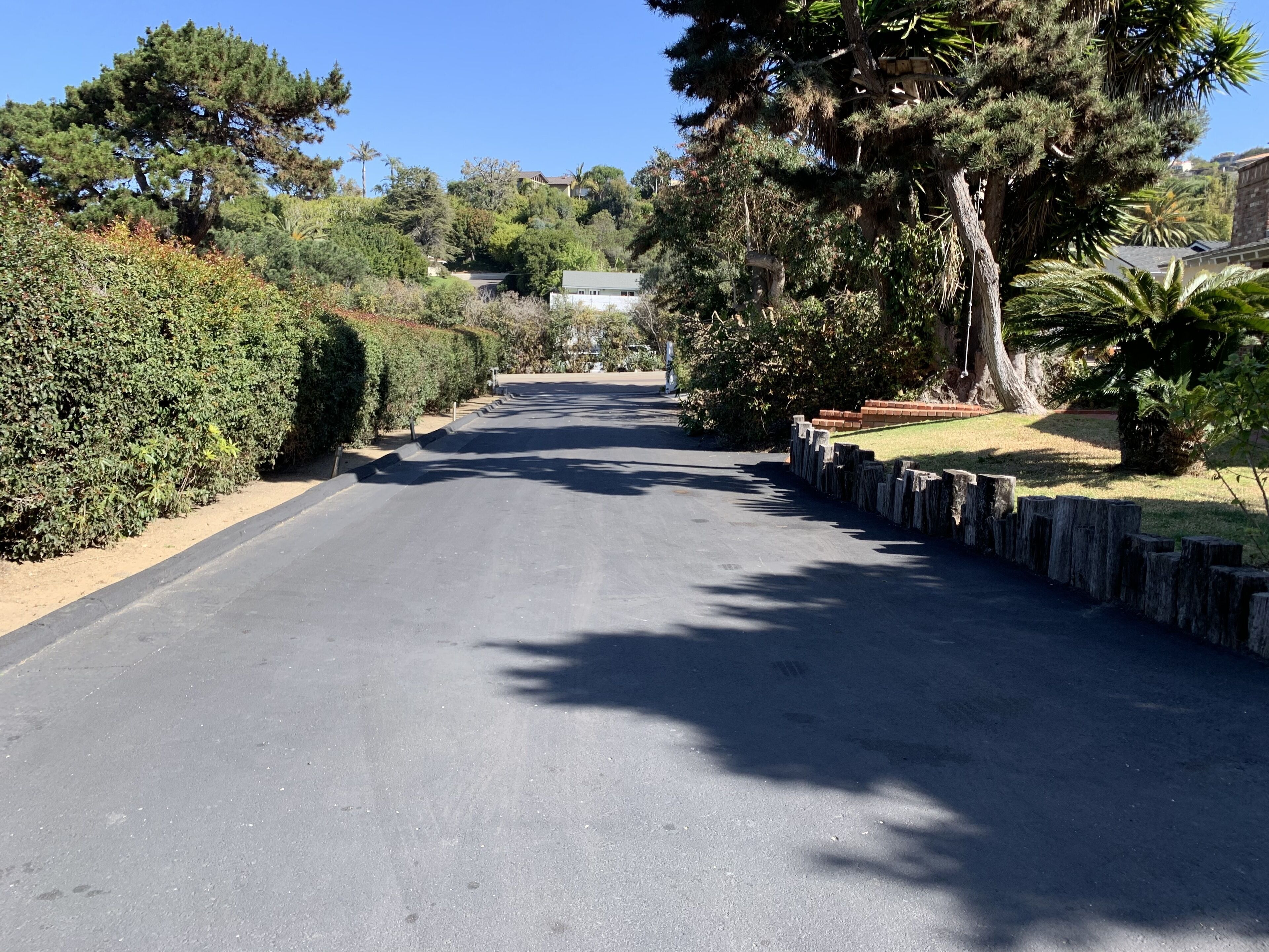 A residential street with a paved road, bordered by dense greenery and trees.