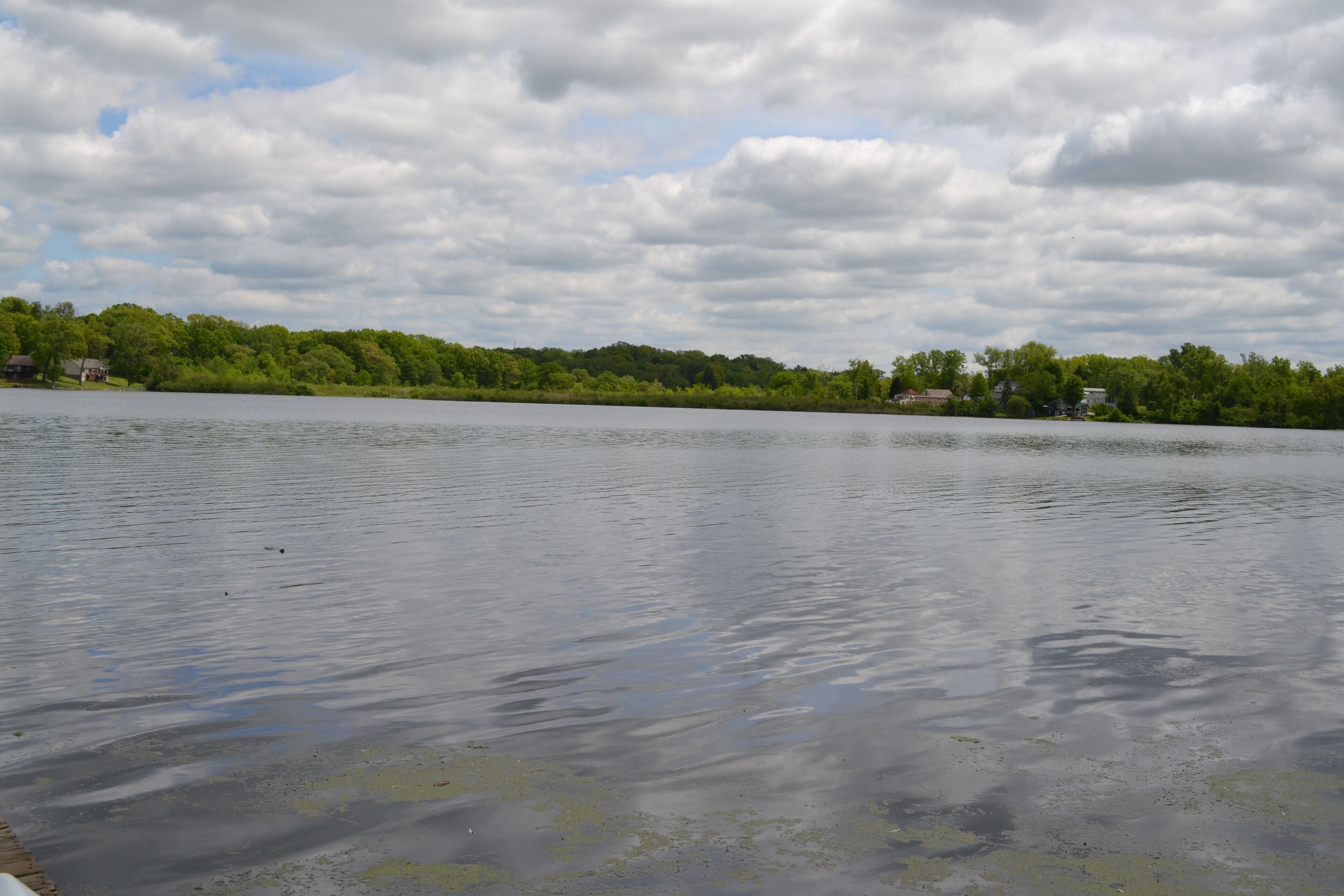 A calm lake with a wooden dock extending into the water.