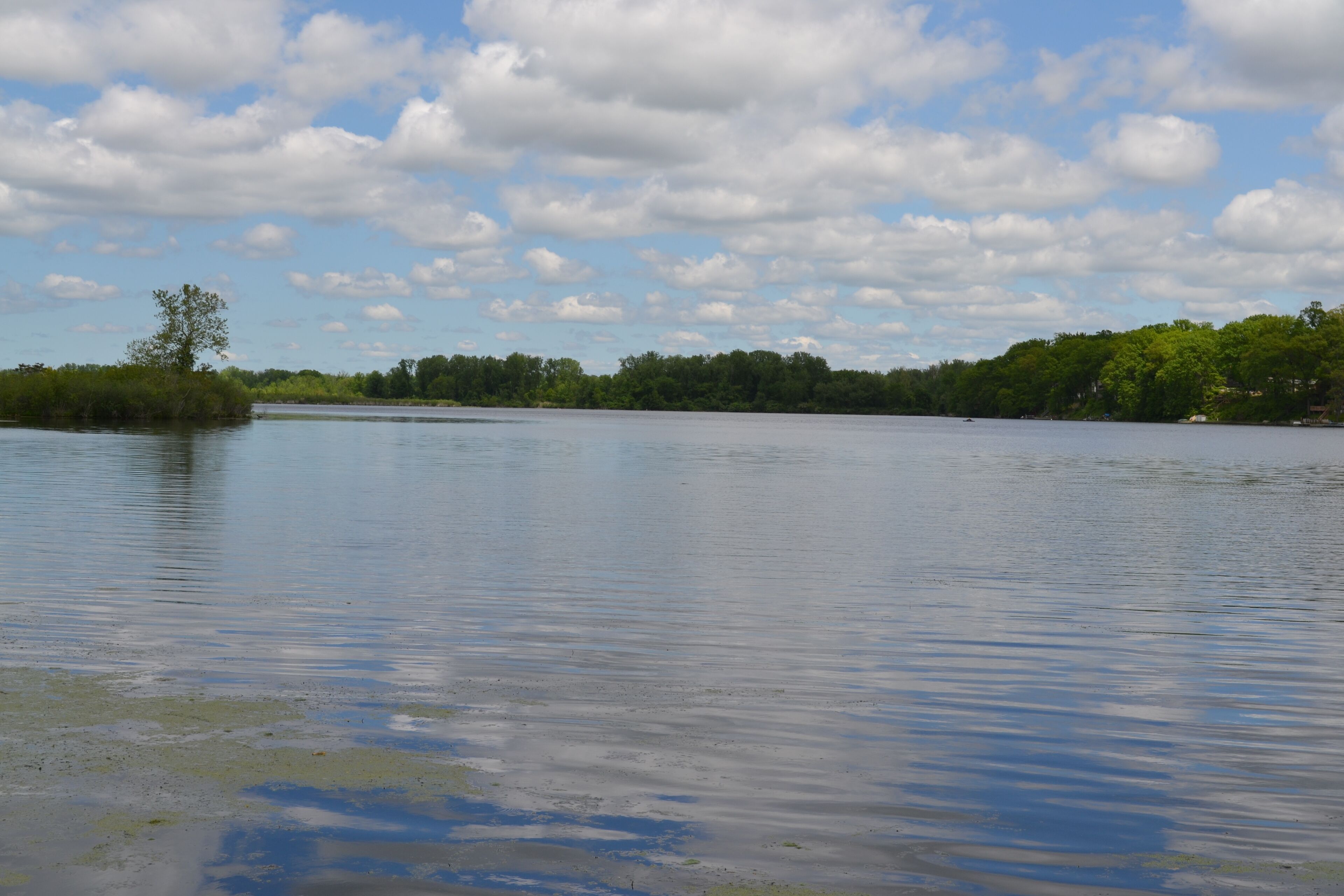 A calm lake with a clear sky and trees in the background.