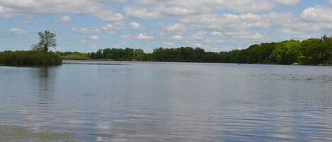 A calm lake with a clear sky and trees in the background.