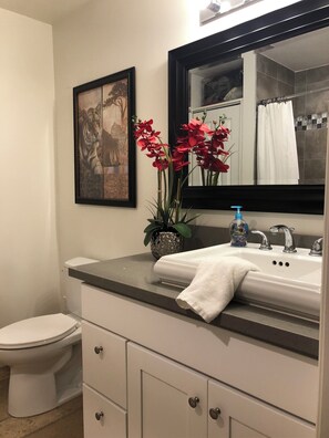 Bathroom features a white toilet, sink, and mirror, accompanied by a framed artwork and a potted plant.