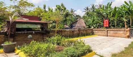 Khuôn viên nơi lưu trú