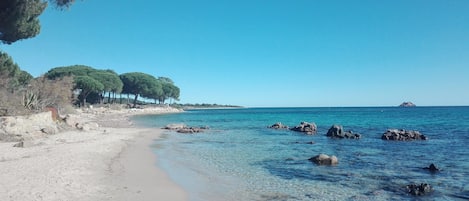 Vlak bij het strand