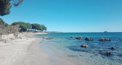 A 400 m de la Plage de Pinarello