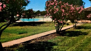 Un sendero conduce a una zona de piscina con árboles rosados en flor y un cielo azul despejado.